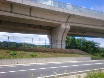 ワシノアタマモ・・・?