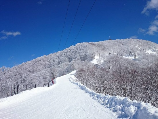 nozawa06