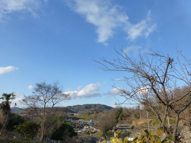 イメージ 3