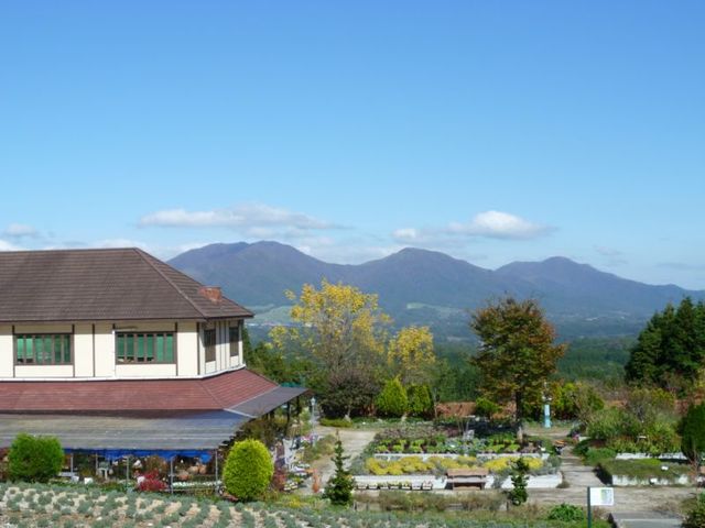 イメージ 7