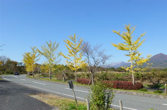 イメージ 8