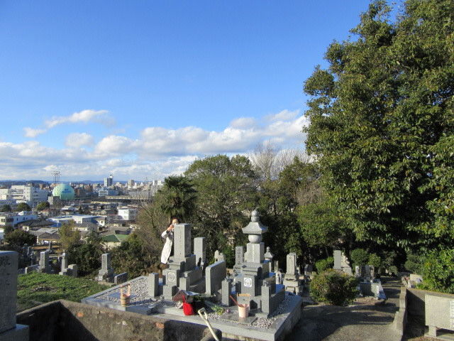 イメージ 1