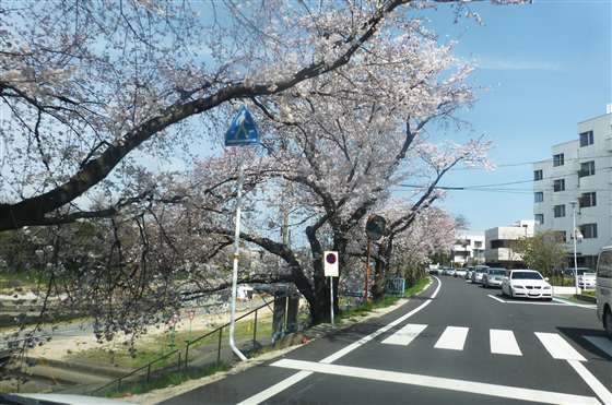 イメージ 7
