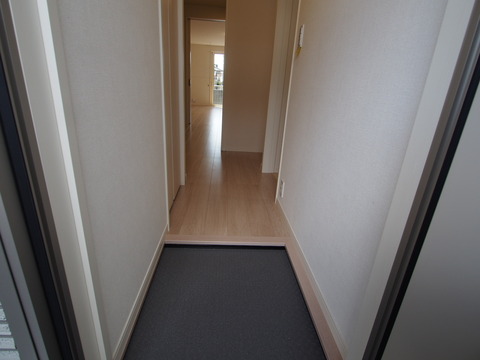 P3200798