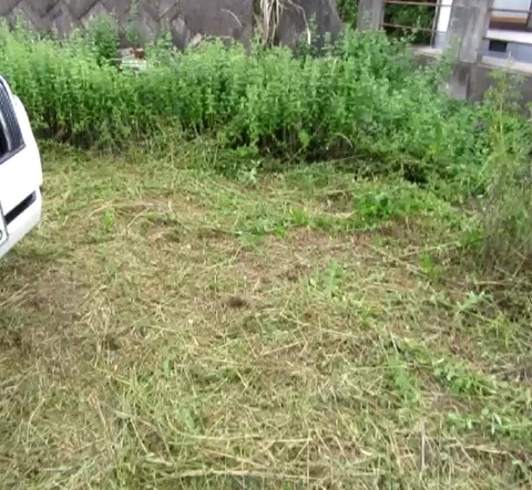 20200618oappuwo00002