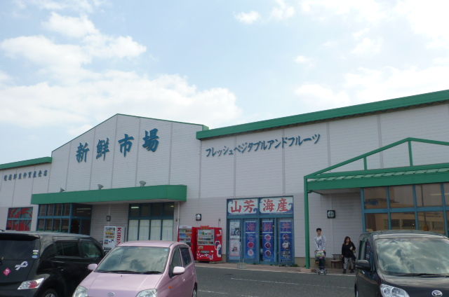 イメージ 3