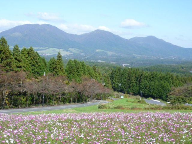 イメージ 11