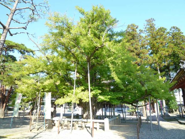 イメージ 3