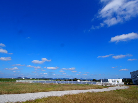 PA070538