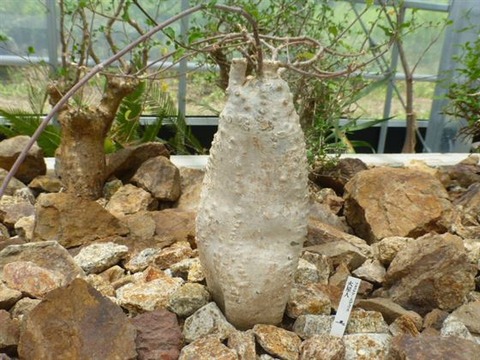 P1240002