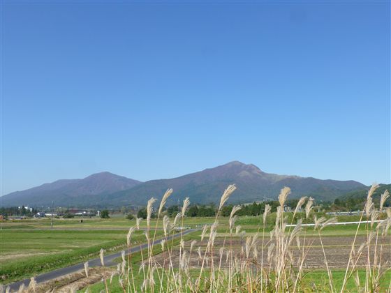 イメージ 5