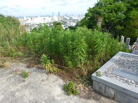P1240070
