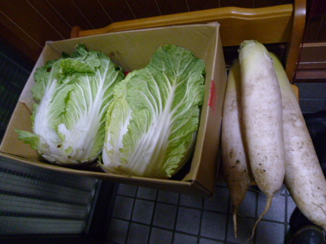 イメージ 7