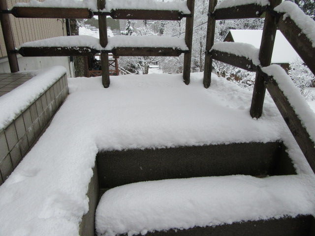 イメージ 7