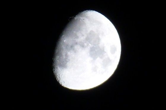 イメージ 11