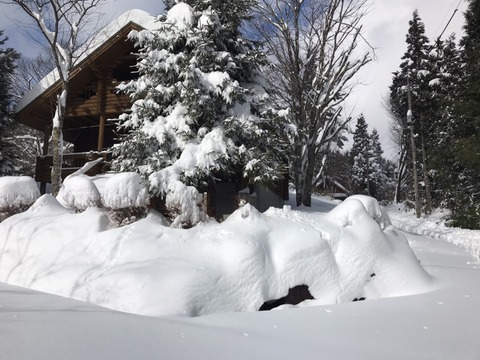 2020.12.31別荘雪景色S__4464650