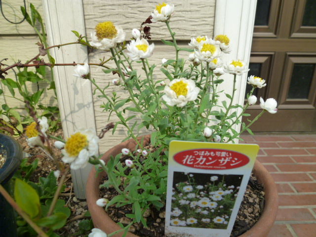イメージ 3