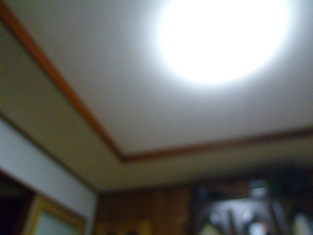イメージ 7