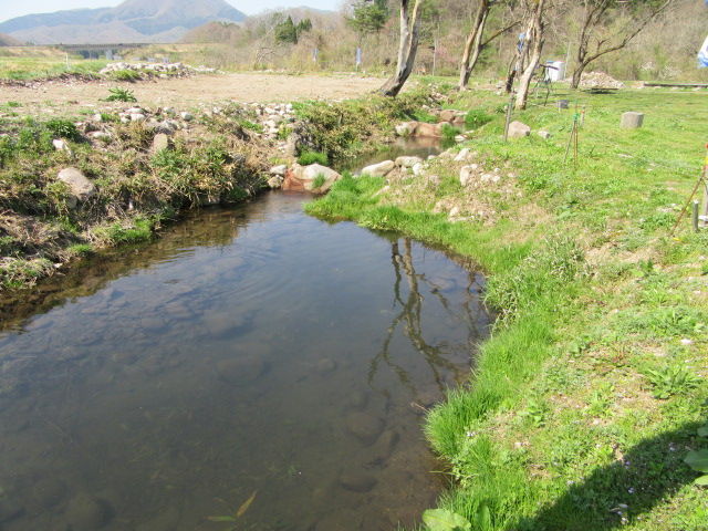 イメージ 8