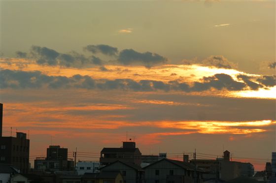 イメージ 5