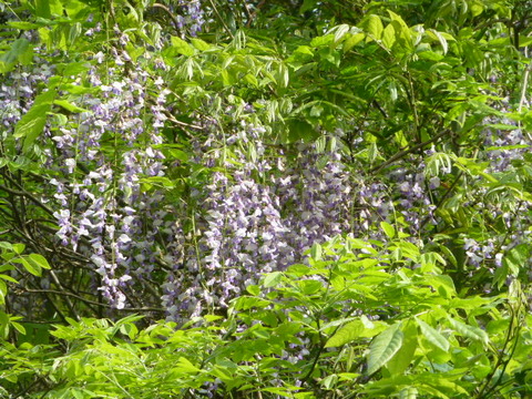 P1230668