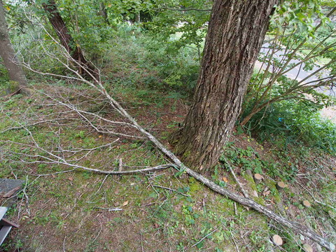 PA041266