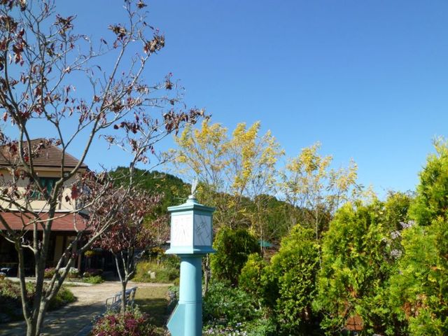 イメージ 13