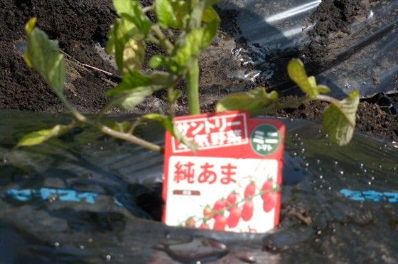 イメージ 4