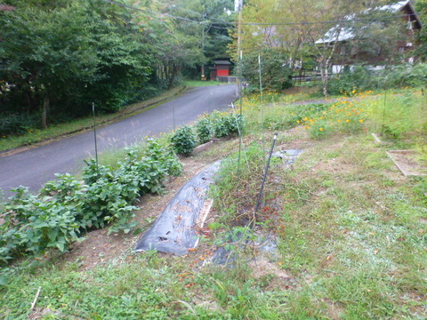 P1240777