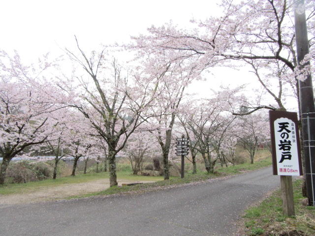 イメージ 5