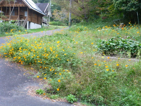 P1240773