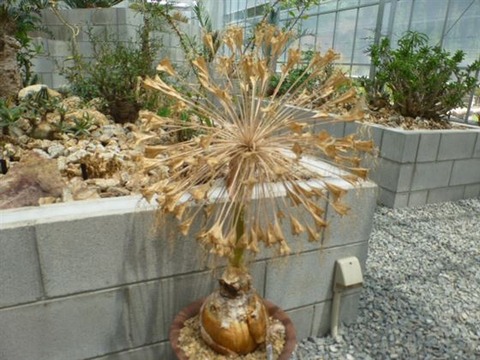 P1240006