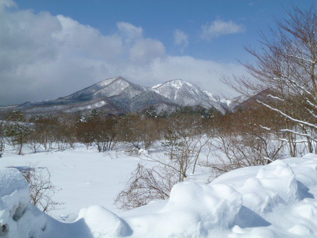 イメージ 9