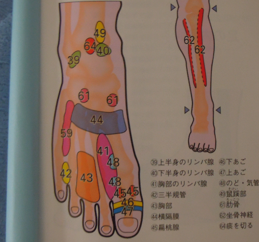 かぜに効果のある足ツボをもうすこし 気になる乳がんの反射区も 痛みなおった 足ツボマッサージナビ かぜに効果のある足ツボをもうすこし 気になる乳がんの反射区も 痛みなおった 足ツボマッサージナビ