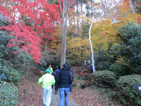 �Ͳ����ե�����2025(2)