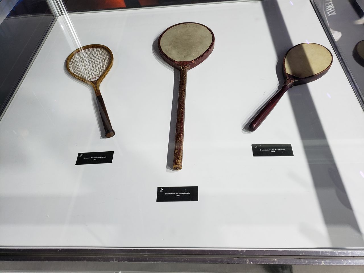 ピンポンの歴史 順吾の一日