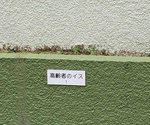 20220113_105358 (2)