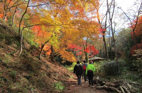 �Ͳ����ե�����2025(1)