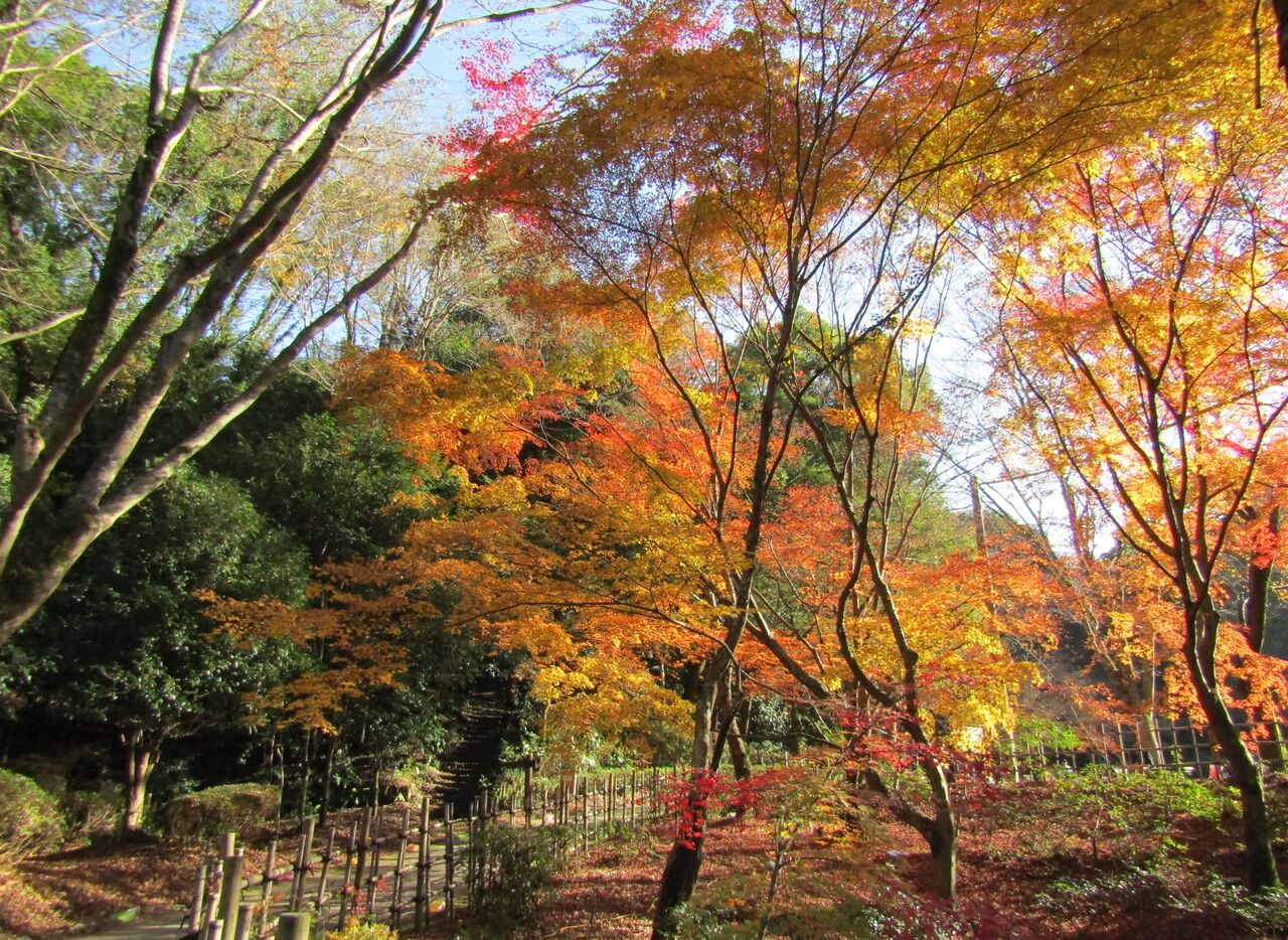 �Ͳ����ե�����2025(3)