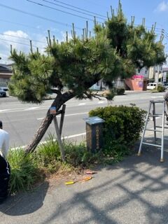¢IMG_4356