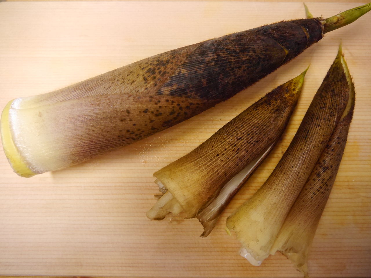 たけのこのお刺身 J S Kitchen