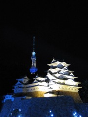 姫路城とスカイツリー 1/25scale