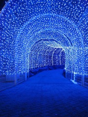 イルミネーショントンネルの入り口