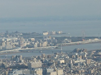 �ǥ����ˡ�����