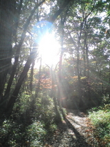 020287f3.jpg