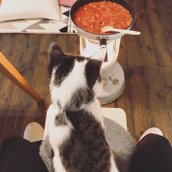 �ȥޥȥ��������