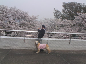 ������Ʊ�������ǻ�����