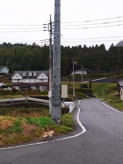 05.更に次の分かれ道