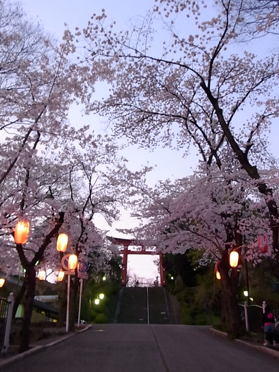 08.貫前神社20150402