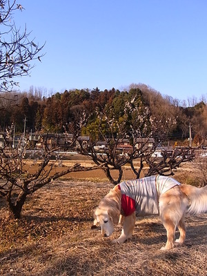 04.良い香り